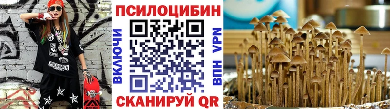 где купить   Миньяр  Галлюциногенные грибы Cubensis 